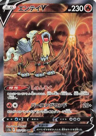 Entei V - 213/172 - S12a VSTAR Universe Holofoil